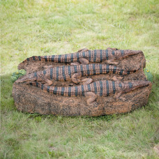 Wildcrete Croc & Friends